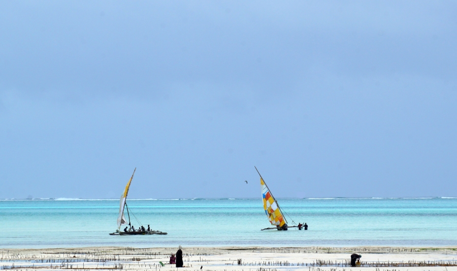 jambiani-fishing-boats